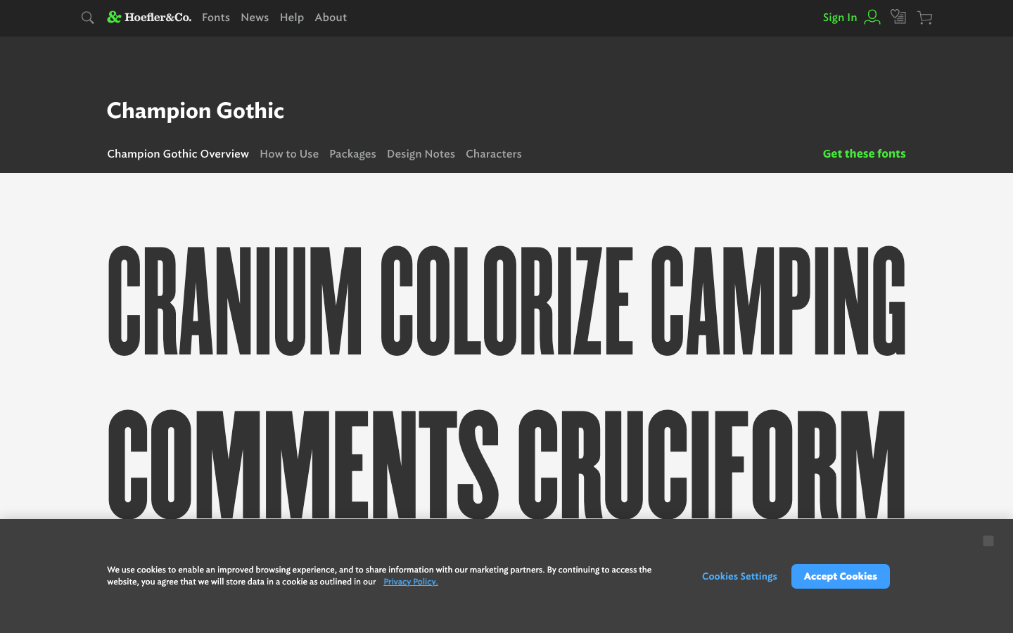 Champion Gothic font specimen