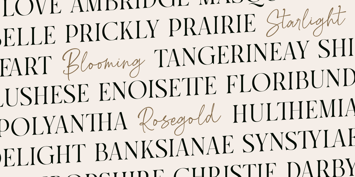 House Script font specimen