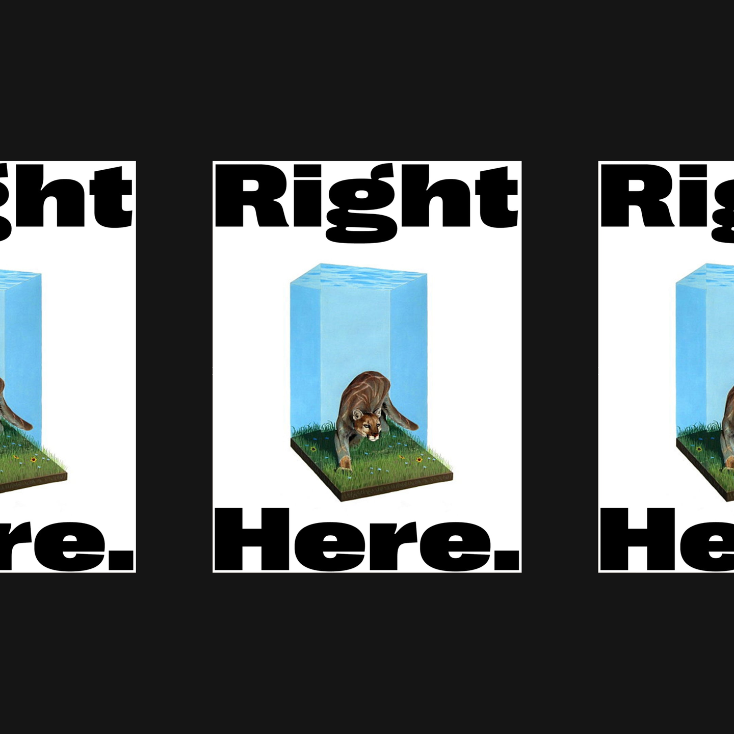 Right Grotesk font specimen